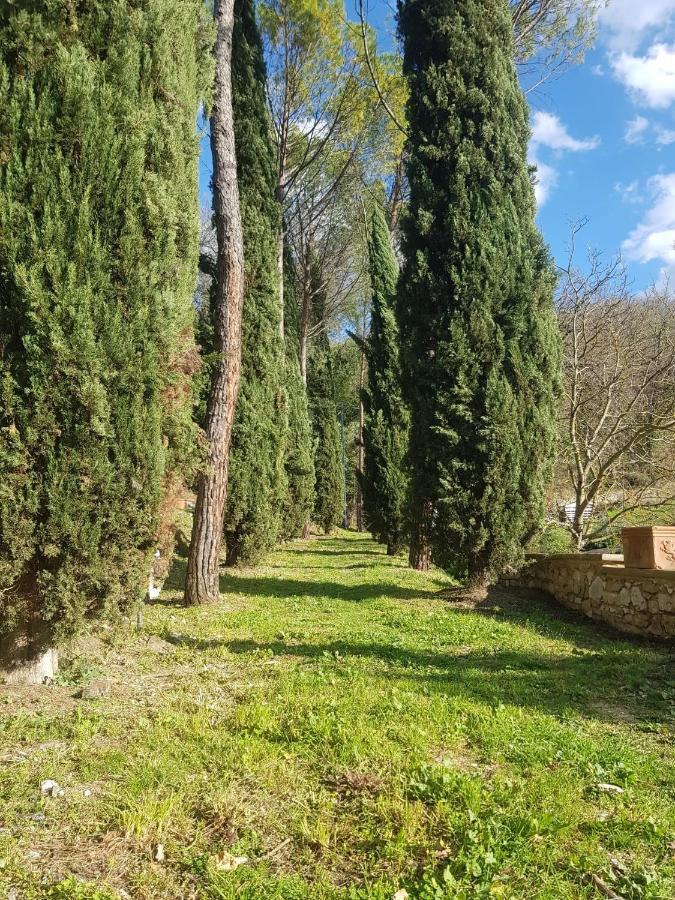 Domus Antiqua Bed & Breakfast Spello Luaran gambar