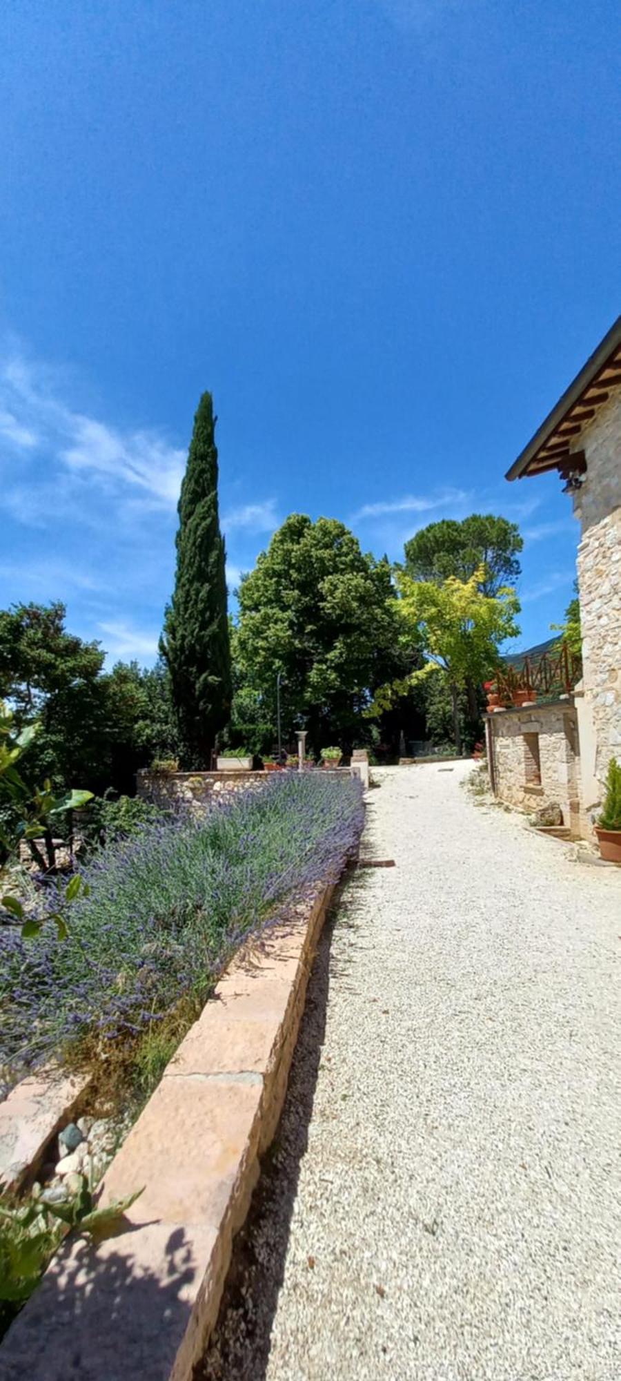 Domus Antiqua Bed & Breakfast Spello Luaran gambar